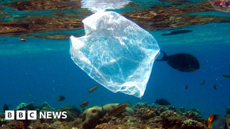 Förvirrade förbudet och avgifterna kustlitteraturen?
