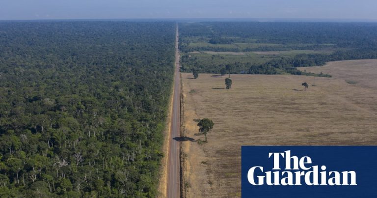 Brasilianska myndigheter avbryter stora Amazonas regnskogsskyddsmått miljö