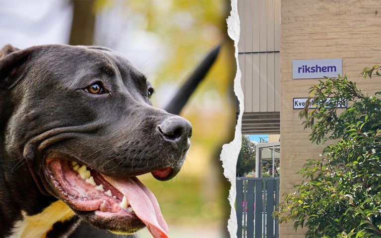 Hunden biter en anställd från ett bostadsföretag – nu vill värden bli av med huset
