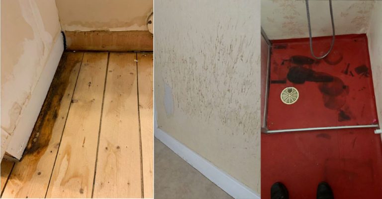 130 000 sex för 17 kattklor och kyssning