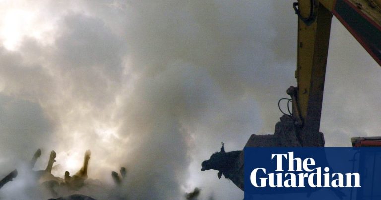 För 25 år sedan: Utbrott av mul- och klövsjuka i Storbritannien | Lantbruk