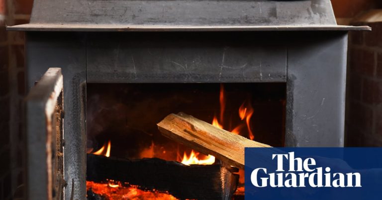 Studie visar att föroreningar från vedeldning orsakar 8 600 förtida dödsfall årligen i USA | Luftförorening