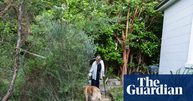 ”Hur vill jag att min trädgård ska låta som?” Det började med en groddamm och blev sedan en besatthet av förortsrewilding