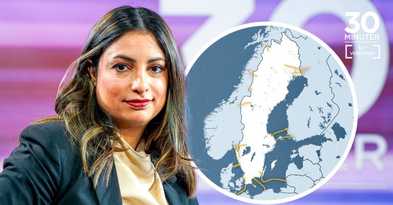 ”Mycket överdrivet” – Dadgostar (V) kabelattackexpert