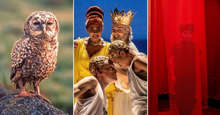 Här är de bästa evenemangen just nu – Vecka 8