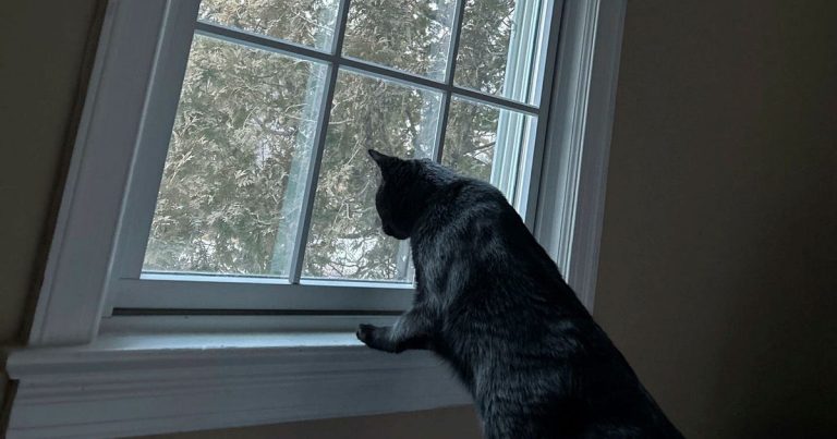 Så min man försöker få mig att ta medicin.