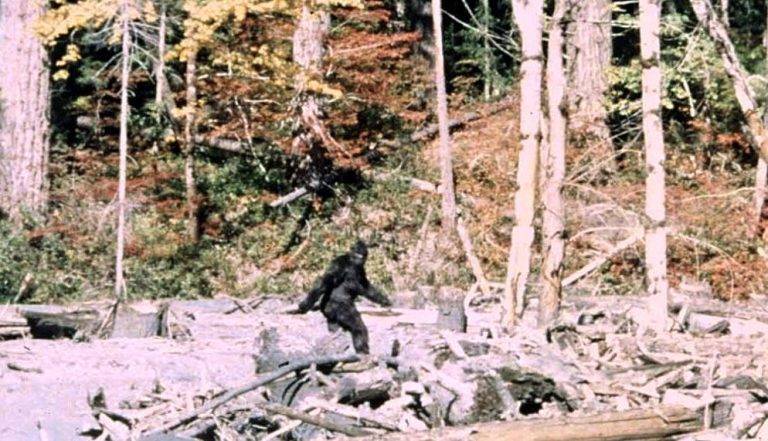 ”Det är inte en enhörning”: Dessa forskare intervjuade 130 Bigfoot-jägare