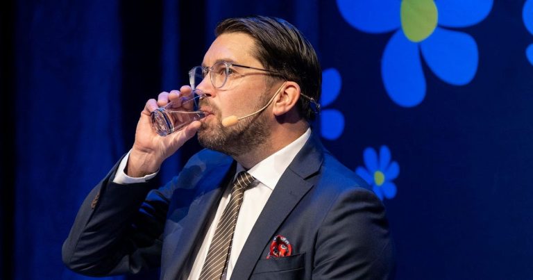 Ministerposter som kan leda till SD