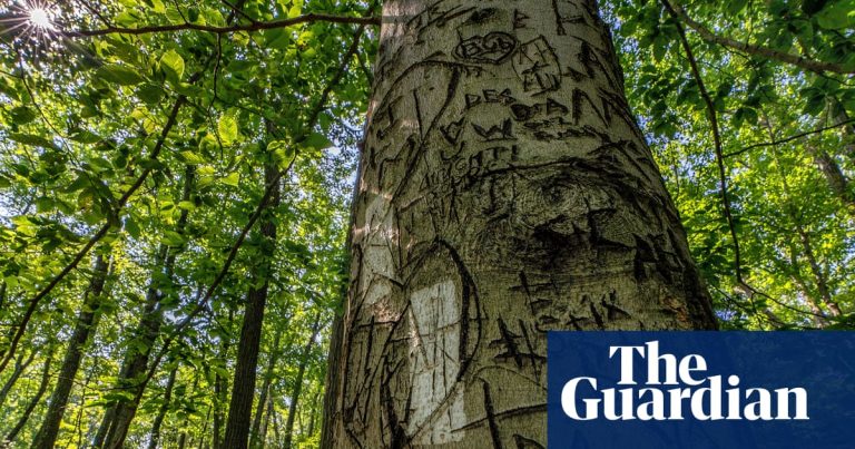 America’s hiking culture is built on ego | National parks