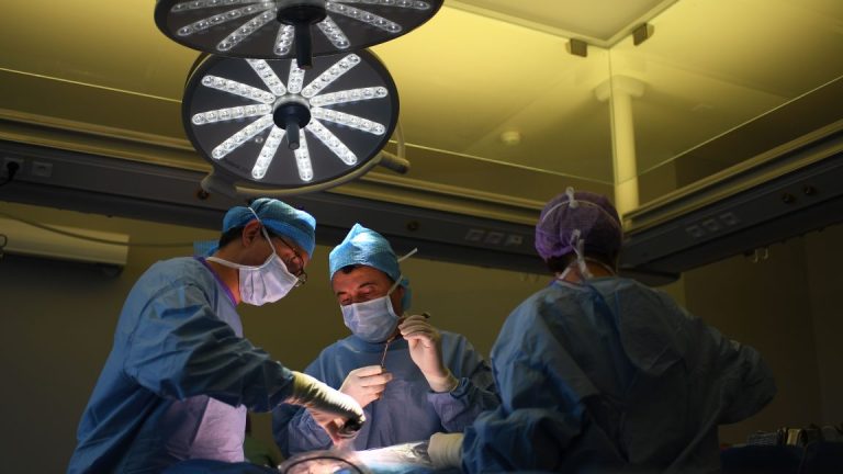 Kirurg i Florida anklagas för att ha dödat en man genom att ta bort levern istället för mjälten