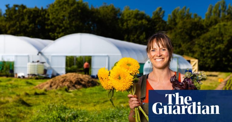 Hyperlokalt, säsongsbetonat och miljövänligt: Brittiska blomstergårdar börjar odla rosor | Lantbruk