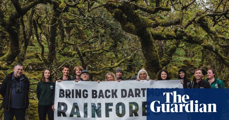 ”Låt oss väcka liv i den här underbara skogen.” Driv på expansion av Englands regnskogar | Dartmoor
