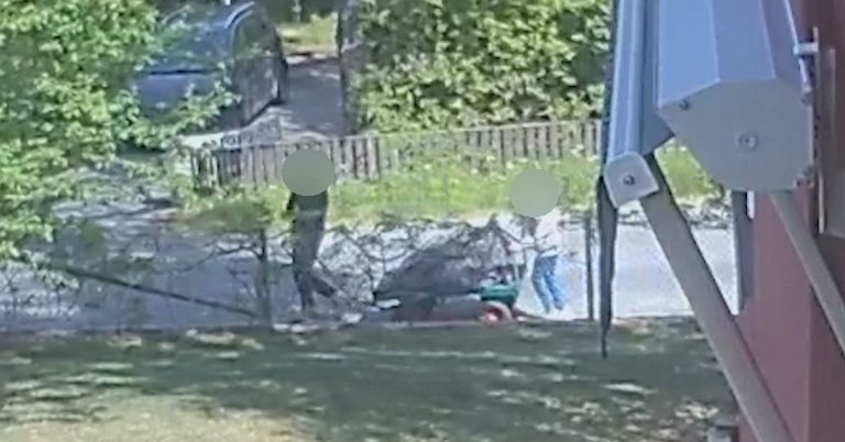Par mördar mannens mamma i Danderyd – döms till livstids fängelse